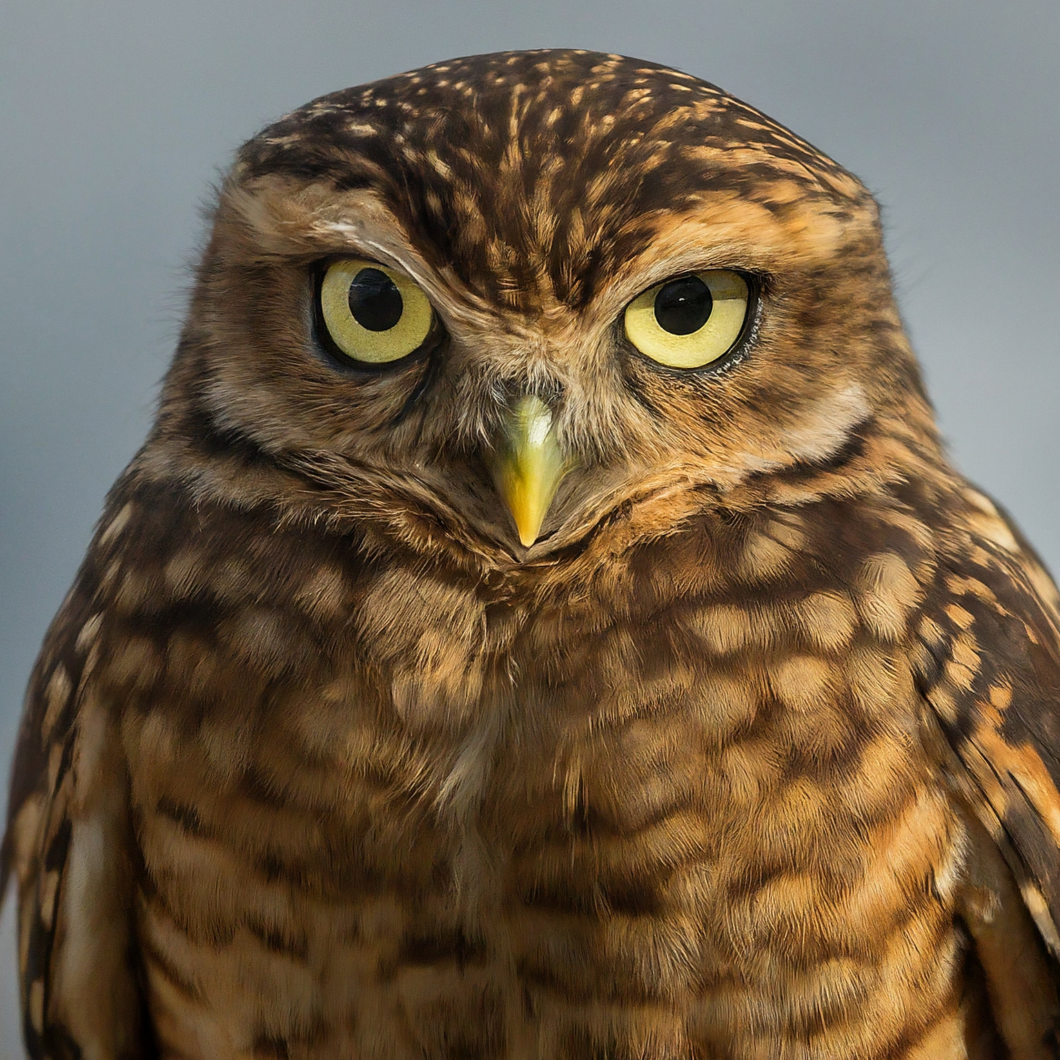 Detailní ilustrační obrázek k tématu Co je interaktivní kiosek a jak funguje